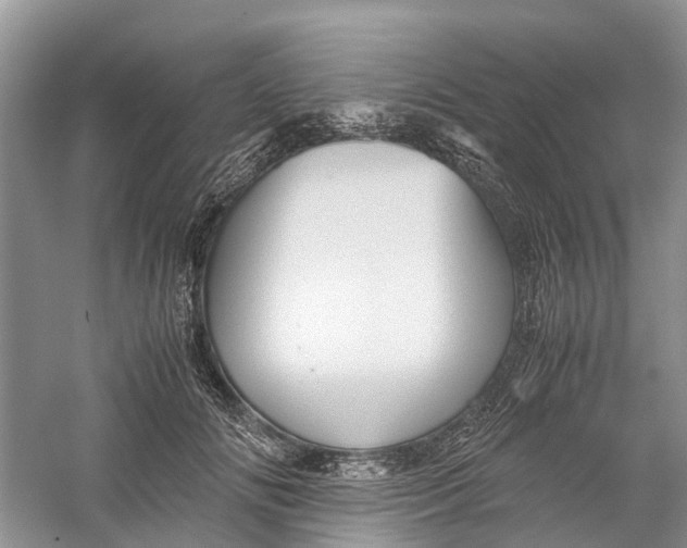 X0000060280702200511181323