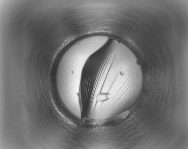 X0000060280734200511181322