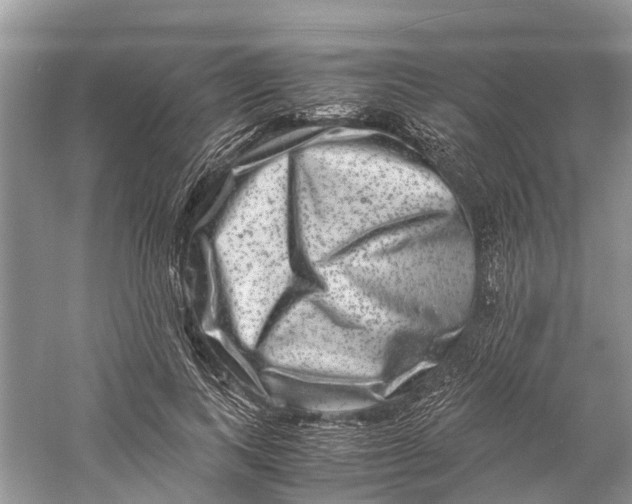 X0000060280743200511181322