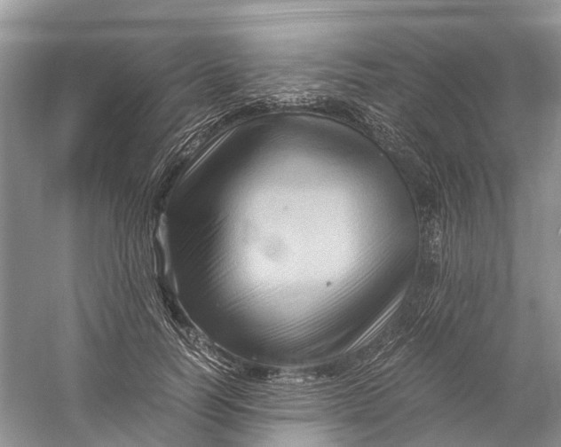 X0000060280746200511181322