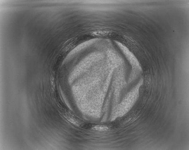 X0000060280749200511181322
