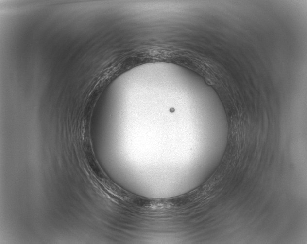 X0000060280752200511181322
