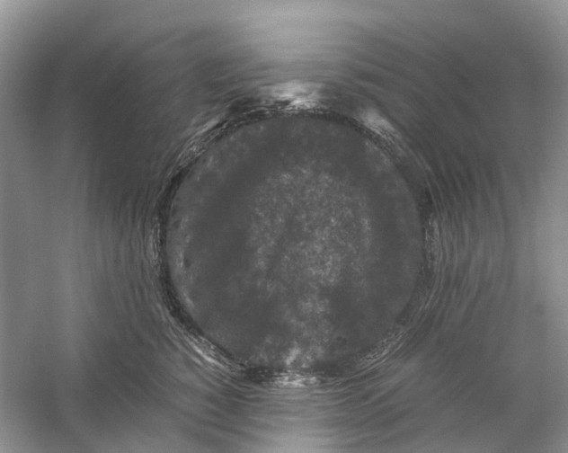 X0000060280760200511181322
