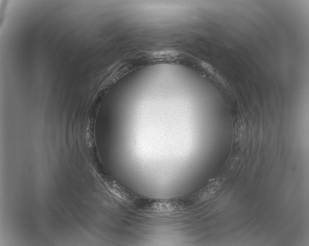 X0000060280764200511181322