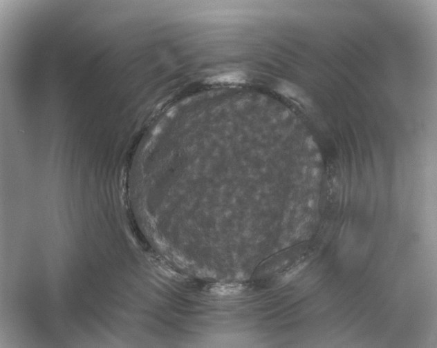 X0000060280767200511181322
