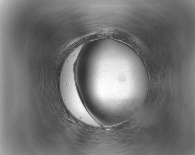 X0000060280773200511181321