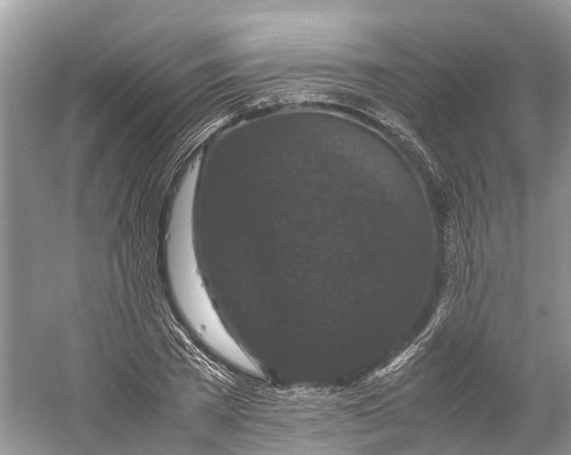 X0000060280785200511181321