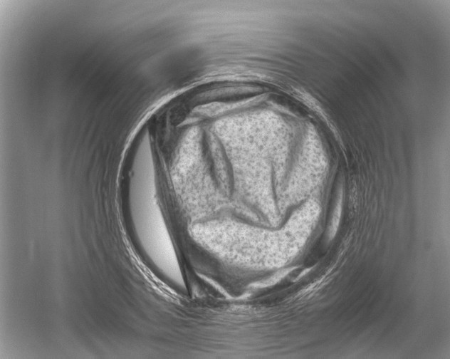 X0000060280787200511181321