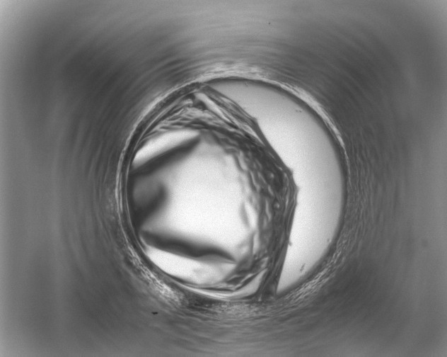 X0000060280791200511181321