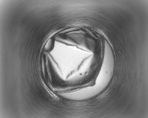 X0000060280795200511181321