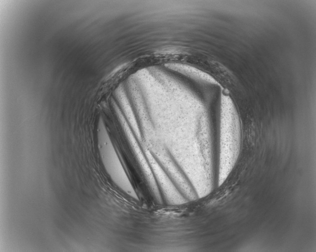 X0000060280821200511181320
