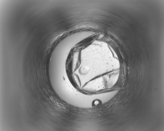 X0000060280824200511181320