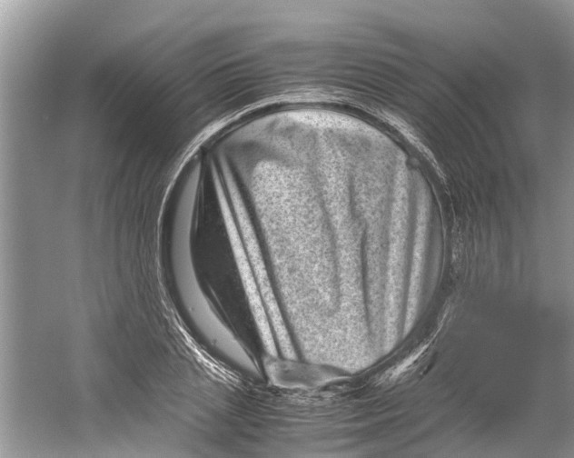 X0000060280837200511181320