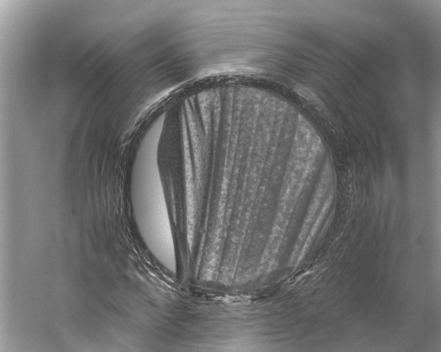 X0000060280872200511181320
