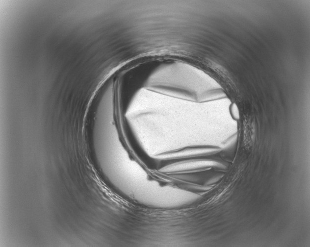 X0000060280876200511181320