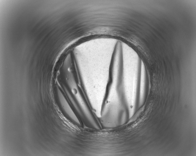 X0000060280880200511181319