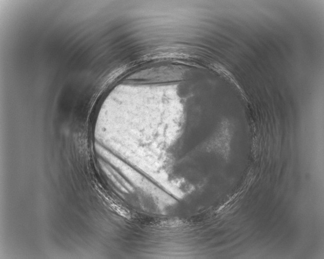 X0000060280882200511181319