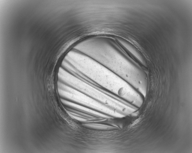 X0000060280885200511181319