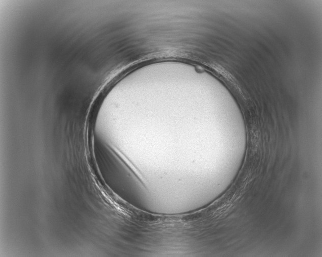X0000060280886200511181319