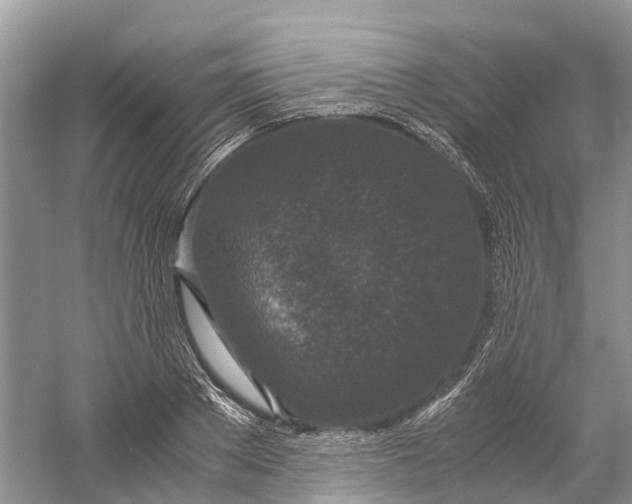X0000060280889200511181319