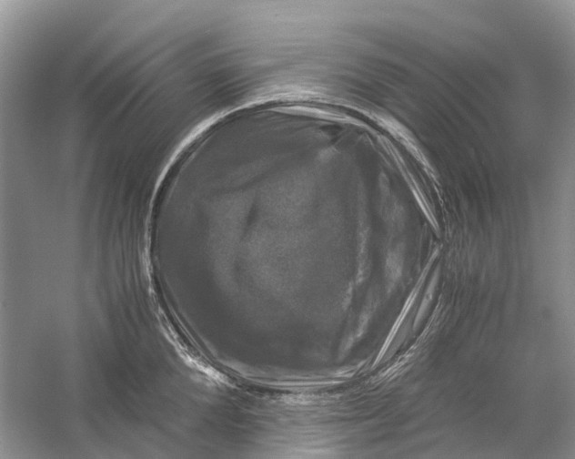 X0000060280904200511181319