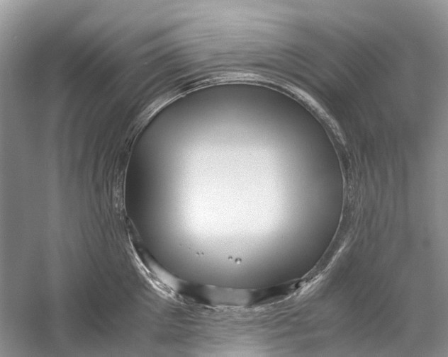 X0000060280905200511181319