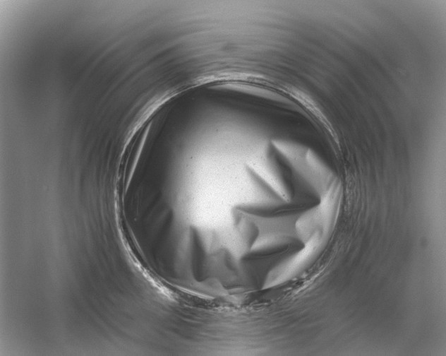 X0000060280906200511181319