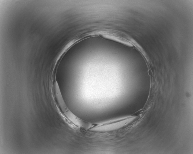 X0000060280909200511181319