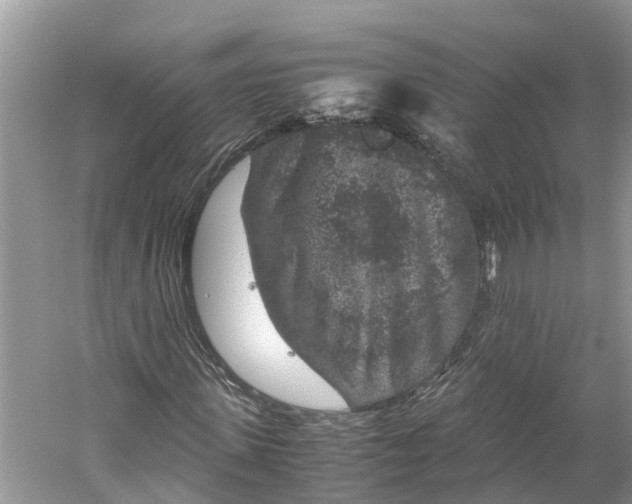 X0000060280915200511181318