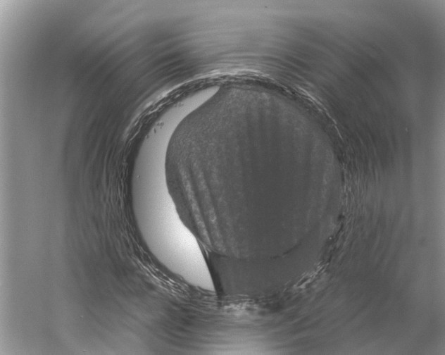 X0000060280920200511181318