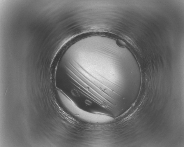 X0000060280926200511181318