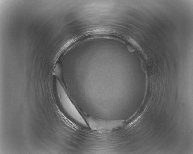 X0000060280930200511181318