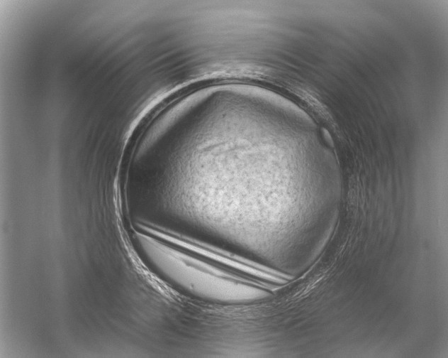 X0000060280936200511181318