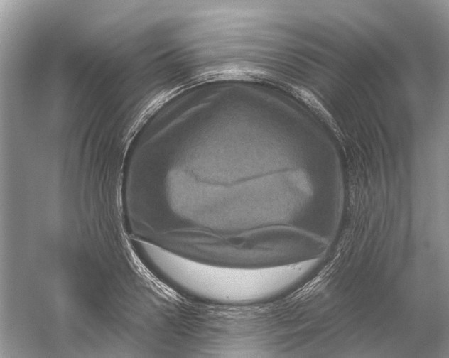 X0000060280938200511181318