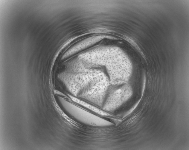 X0000060280939200511181318