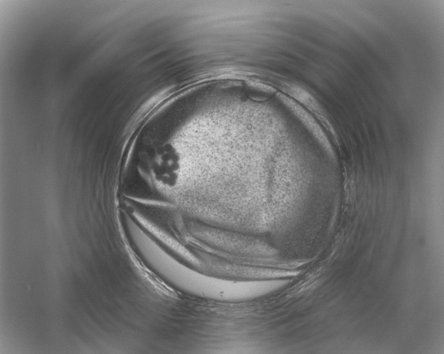 X0000060280954200511181319