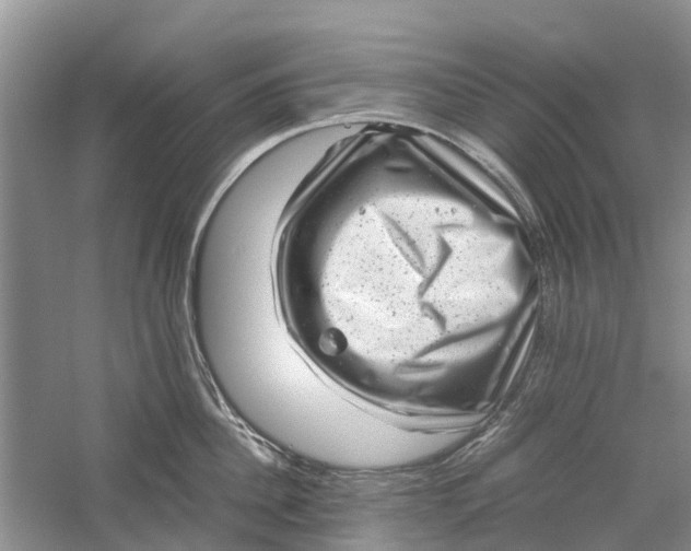 X0000060280956200511181319