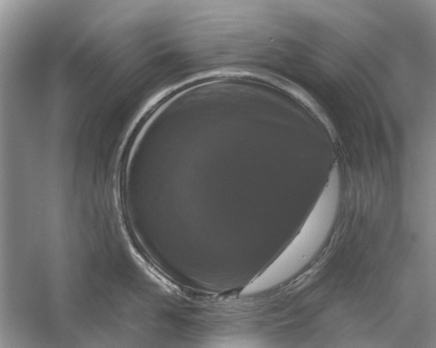 X0000060280958200511181319