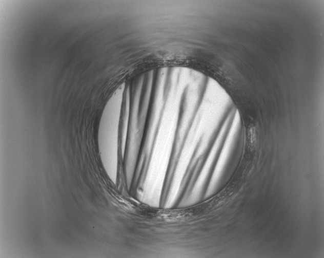 X0000060280963200511181318