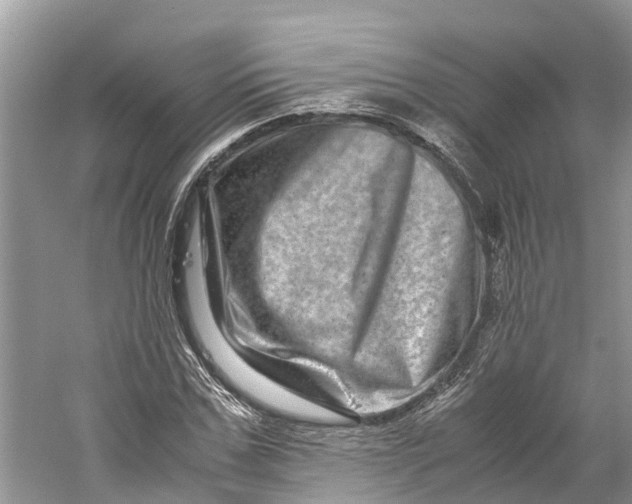 X0000060280971200511181318