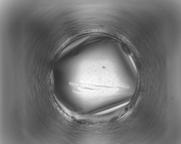 X0000060280985200511181317