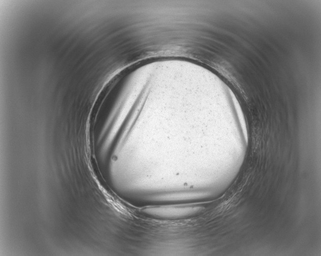 X0000060280988200511181317