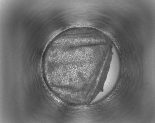 X0000060280990200511181317
