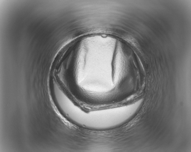 X0000060280991200511181317