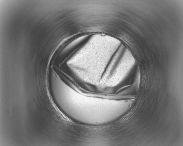 X0000060280992200511181317