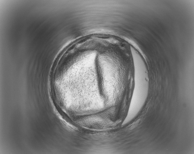 X0000060280999200511181317