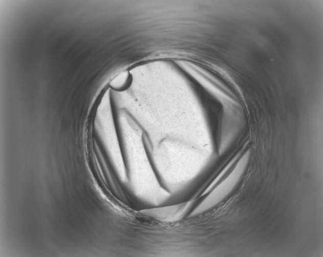 X0000060281003200511181317