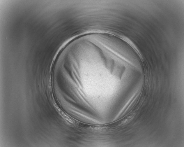 X0000060281004200511181317