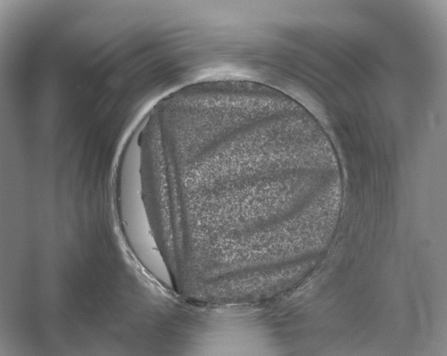 X0000060281008200511181317