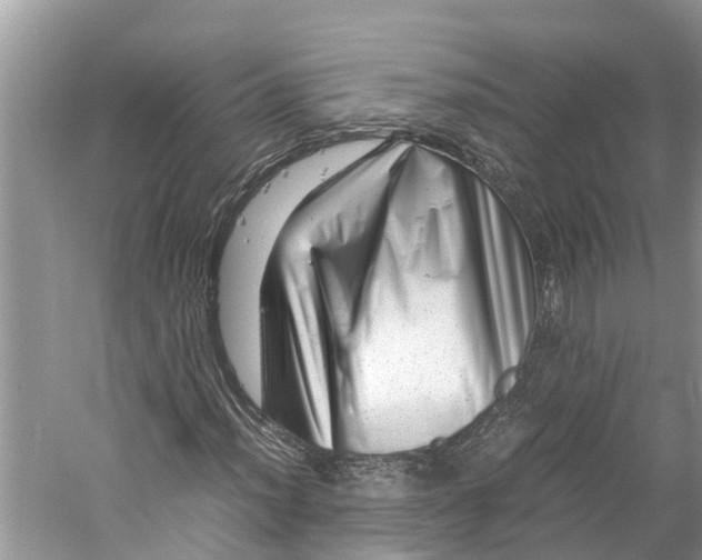 X0000060281012200511181316